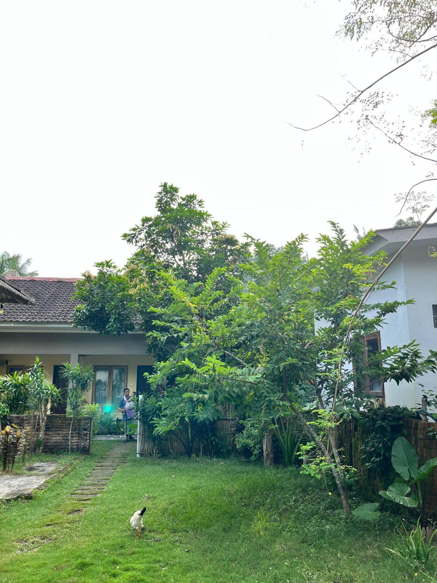 Honey Home Kuta  Extérieur photo
